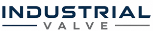 Company Corporation IT Logo